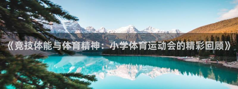 xc体育app官方网站：《竞技体能与体育精神：小学体育运动会的精彩回顾》