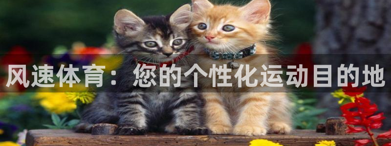 xc体育app官方网站：风速体育：您的个性化运动目的地
