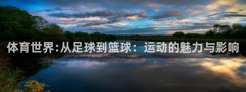 xc体育app官方网站：体育世界:从足球到篮球：运动的魅力与影响