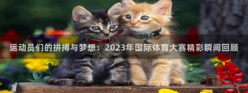 xc体育app官方网站：运动员们的拼搏与梦想：2023年国际体育大赛精彩瞬间回顾