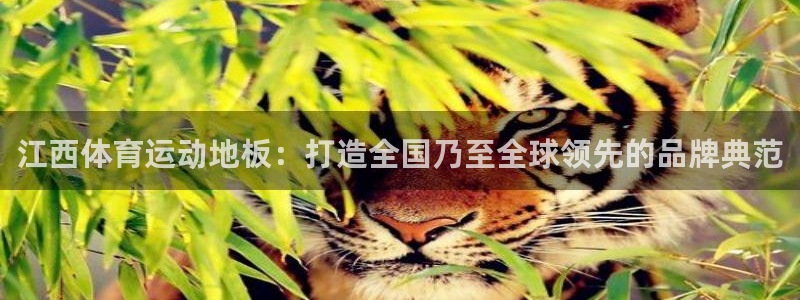 xc体育app官方网站：江西体育运动地板：打造全国乃至全球领先的品牌典范