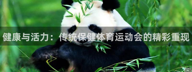 xc体育：健康与活力：传统保健体育运动会的精彩重现