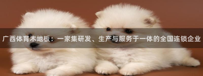 xc体育app官方网站：广西体育木地板：一家集研发、生产与服务于一体的全国连锁企业