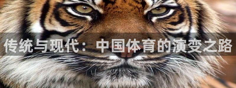 xc体育app官方网站：传统与现代：中国体育的演变之路