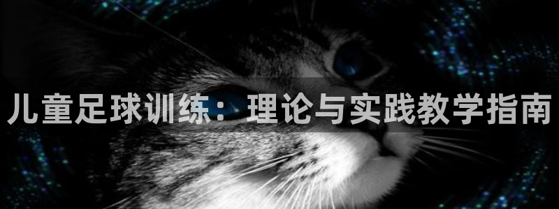 xc体育app官方网站：儿童足球训练：理论与实践教学指南