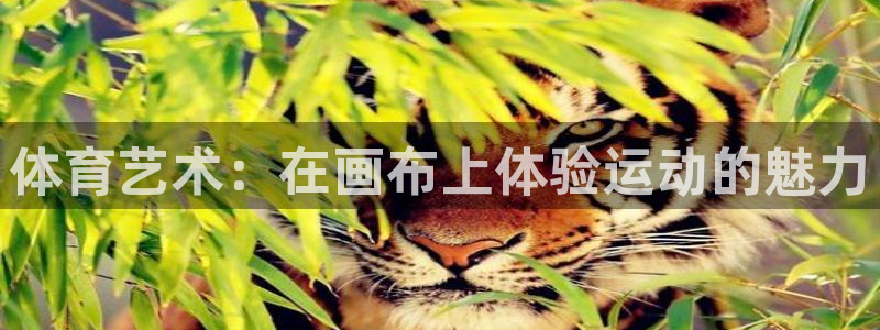 xc体育app官方网站：体育艺术：在画布上体验运动的魅力